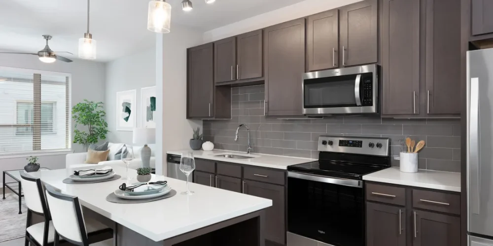 AVE Austin North Lamar 2