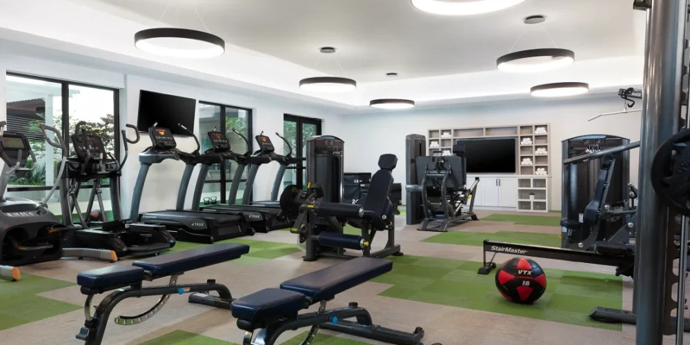 AVE Austin North Lamar 4