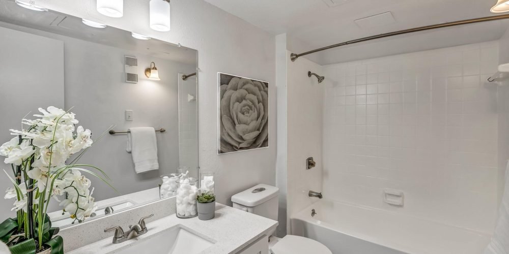 Alara North Burnet 3