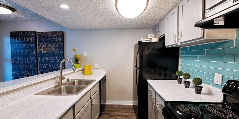 Artisan at South Lamar 2