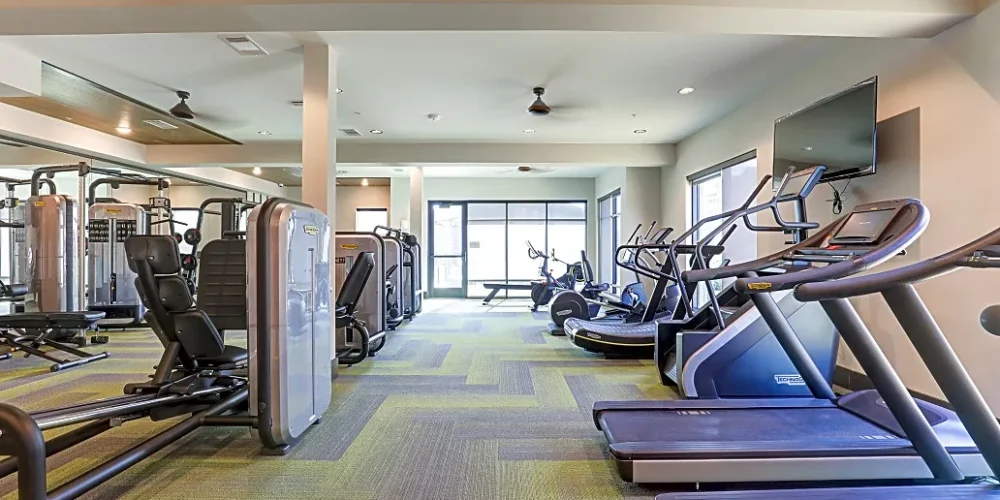 Aspen at Mercer Crossing 4