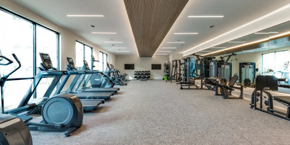 Aura Southgate 4