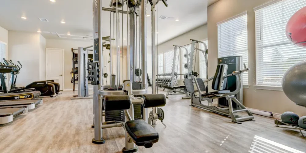 BB Living Light Farms 4