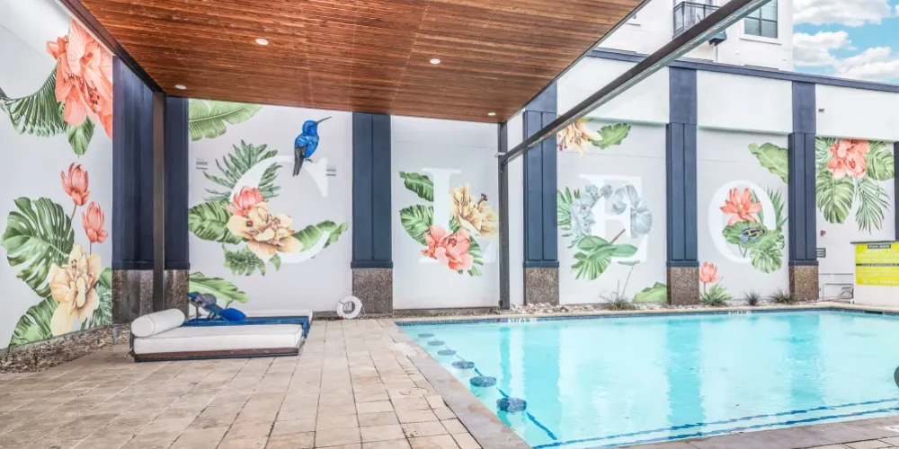 Cleo Luxury 5