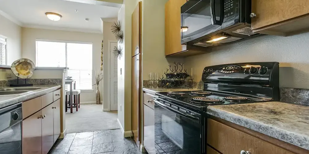 Constellation Ranch 2