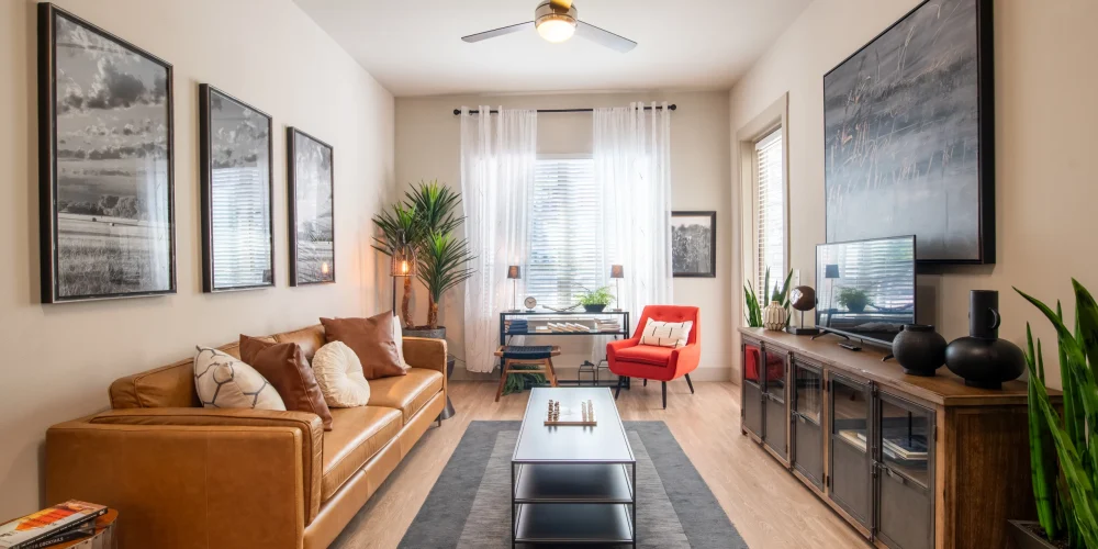 Domain at the Gate 1