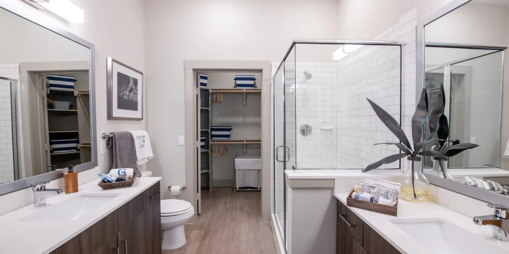 Domain at the Gate 3