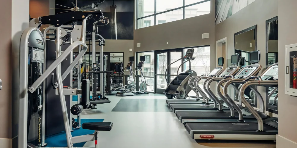 Domain at the Gate 4