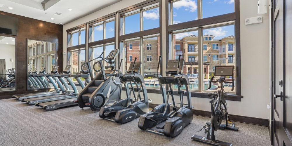 Lakeview at the Gates of Prosper – Apartment Spots