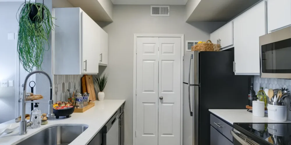 Langdon at Spring Creek 2