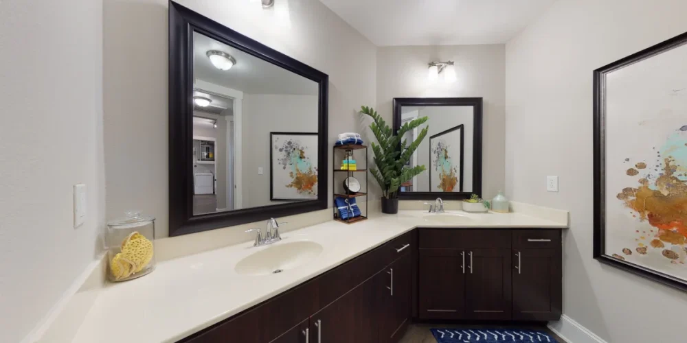 Lofts at Watters Creek 3