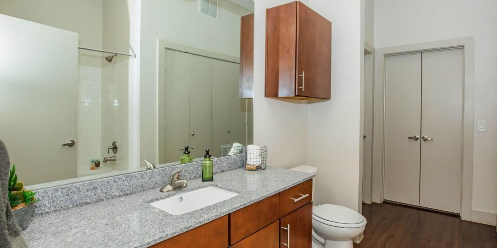 Midtown at Cedar Hill 3