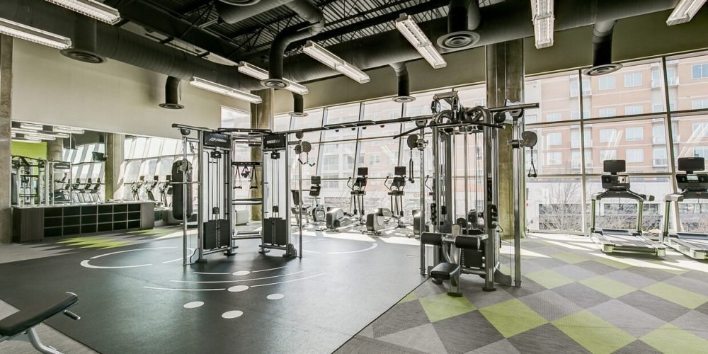 Mondrian West Village 4