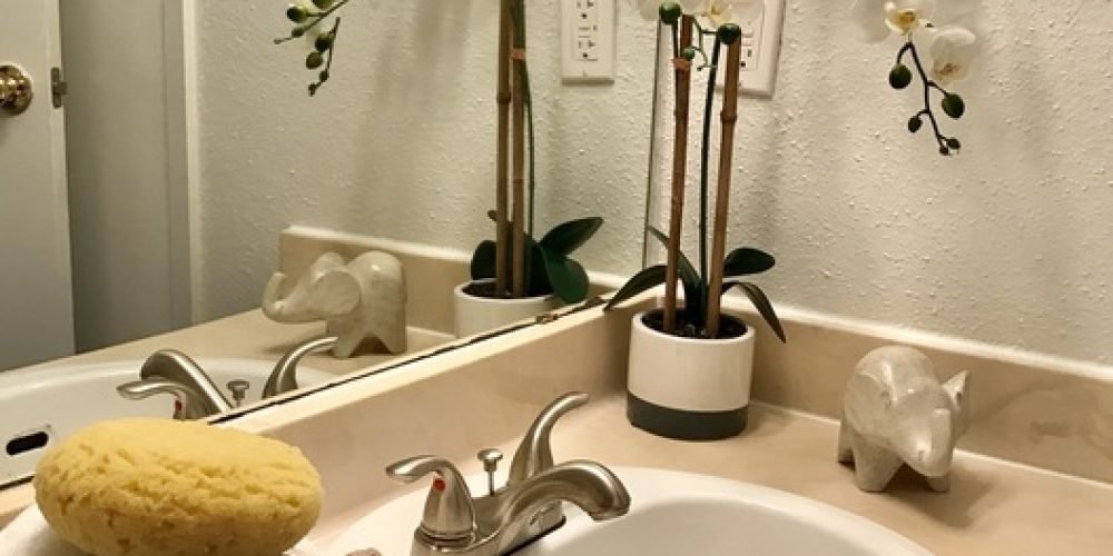 Oaks of Ashford Point 3