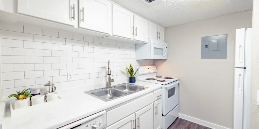 Paisley at Arlington 2