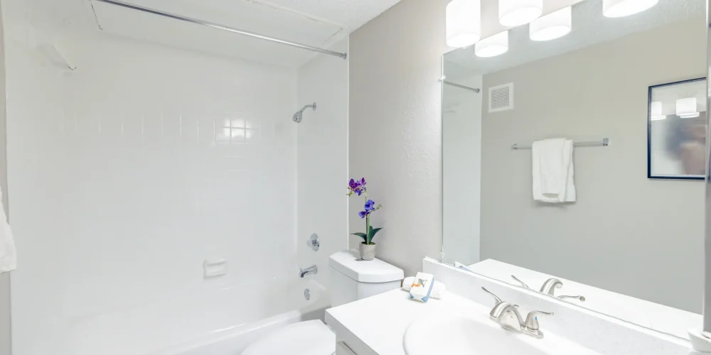 Paisley at Arlington 3