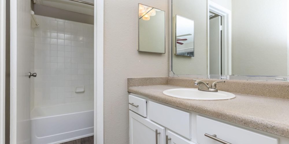 Palisades at Bear Creek 3