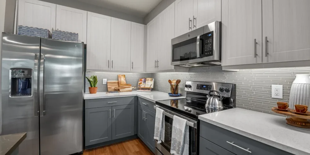 Presidium Revelstoke 2