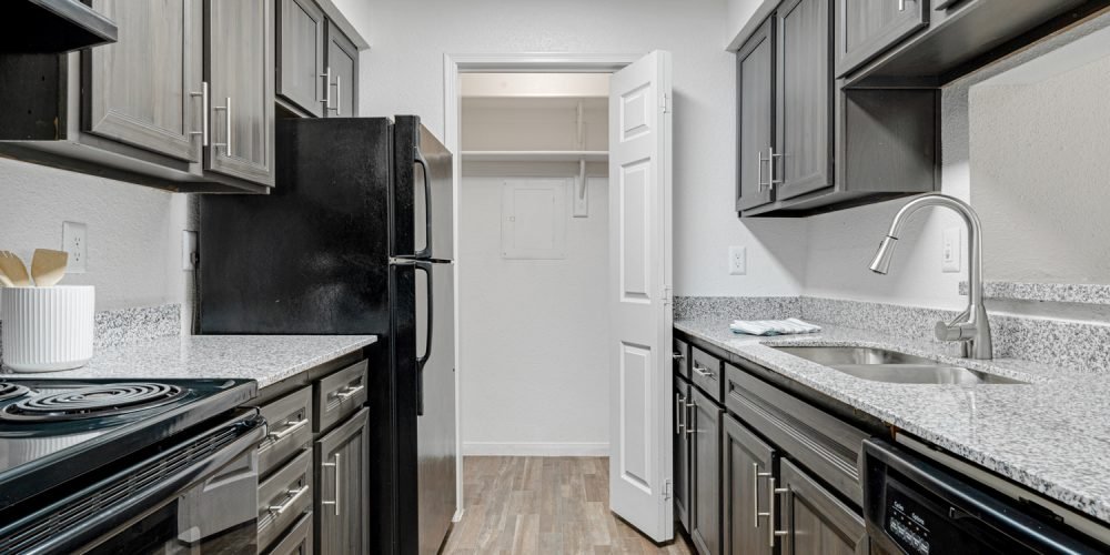 Sandshell at Fossil Creek 2