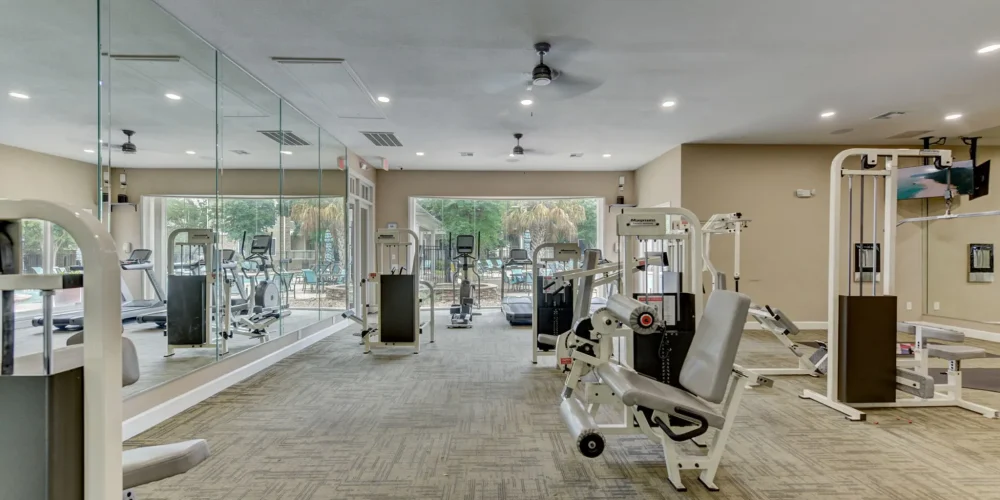 Stone Oak at Parmer 4