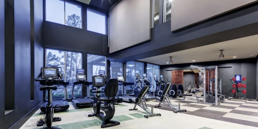 The Belvedere Springwoods Village 4