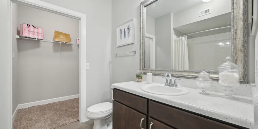 The District at Greenville 3