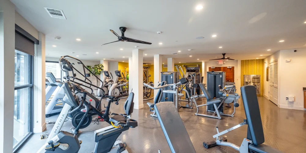 The Drake on Summit 4