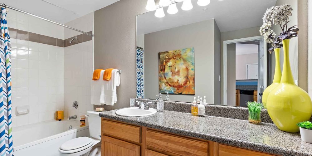 The Lexington at Valley Ranch 3