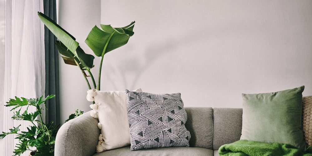 Dont you simply love going to the sofa