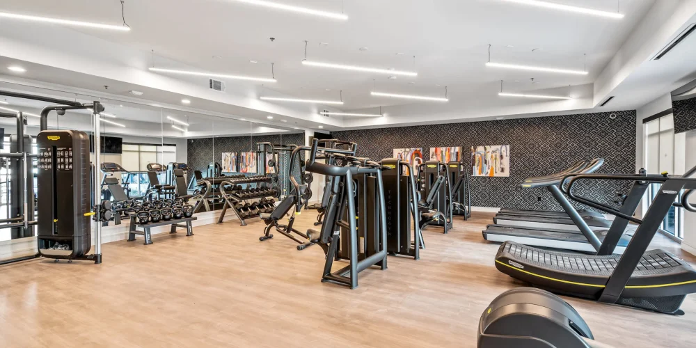 The Standard River District 4