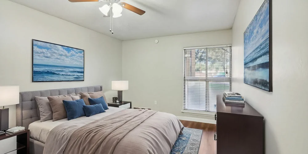 The Xander at James 4