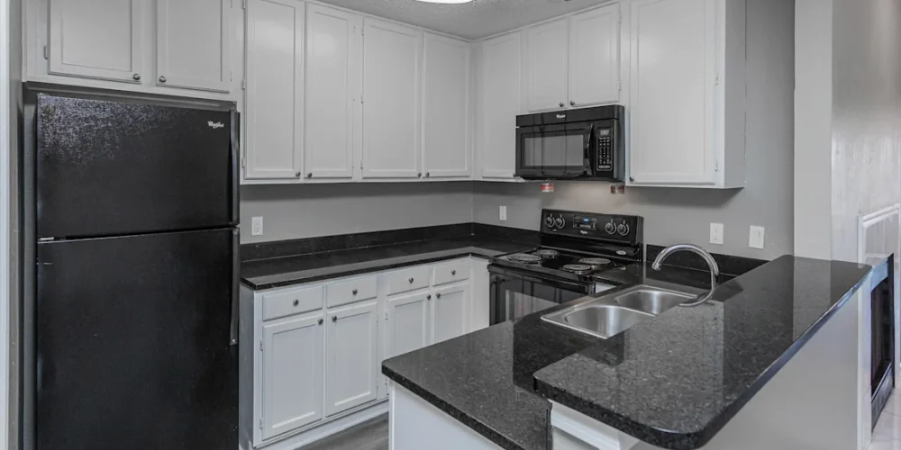 Trellis at Lake Highlands 2